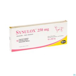 Synulox Comp Appet 10 X 250mg