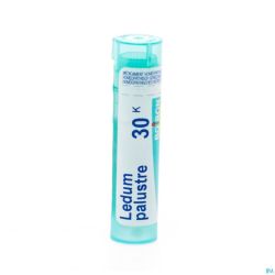 Ledum Palustre 30k Gr 4g Boiron