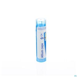 Allium Cepa 9ch Gr 4g Boiron