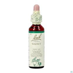Bach Flower Remedie 33 Walnut 20ml