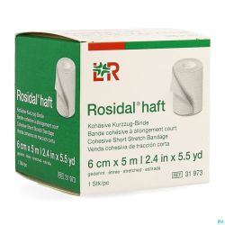 Rosidal Haft Bande Cohesive 6cmx5m 1 31973