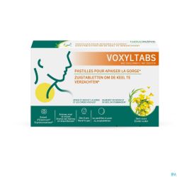 Voxyltabs Past A Sucer 24 Rempl.2663490