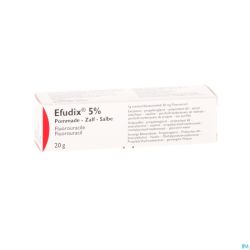 Efudix Ung Derm 5% Tube 1 X 20g