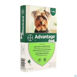 Advantage 40 Chiens