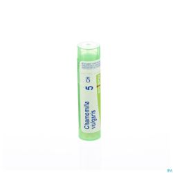 Chamomilla Vulgaris 5ch Gr 4g Boiron