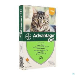 Advantage 40 Chats
