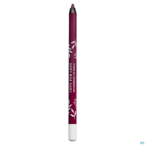 Cent Pur Cent Crayon Levres Longue Tenue Pasteque