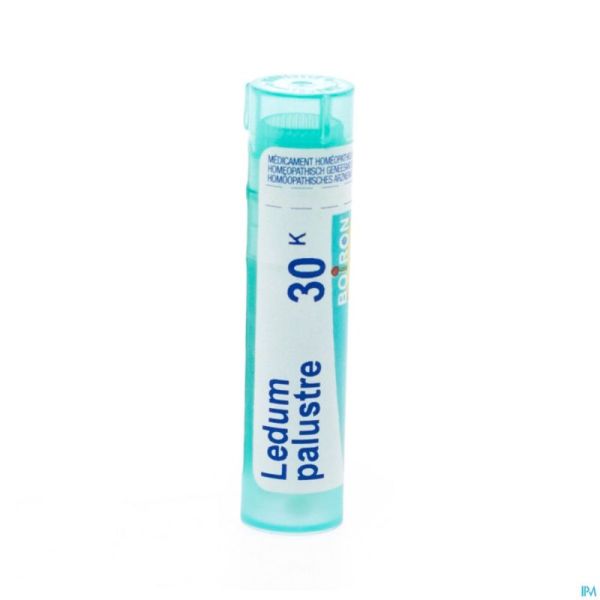 Ledum Palustre 30k Gr 4g Boiron
