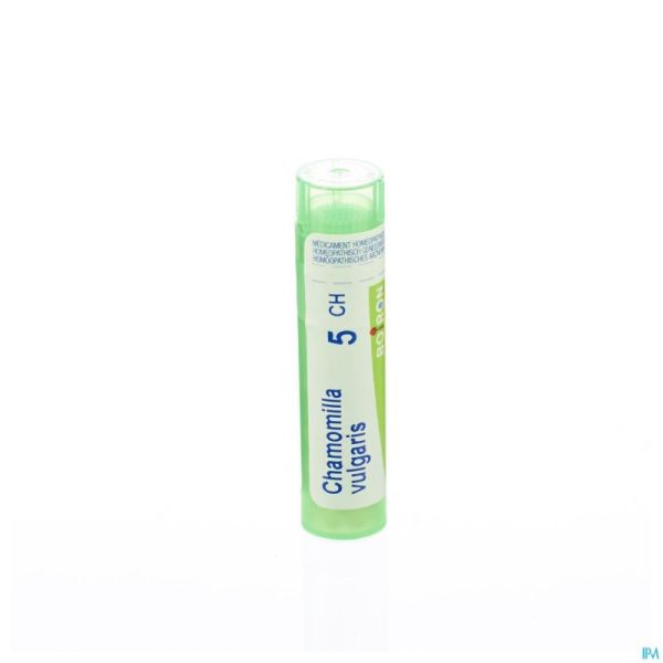 Chamomilla Vulgaris 5ch Gr 4g Boiron
