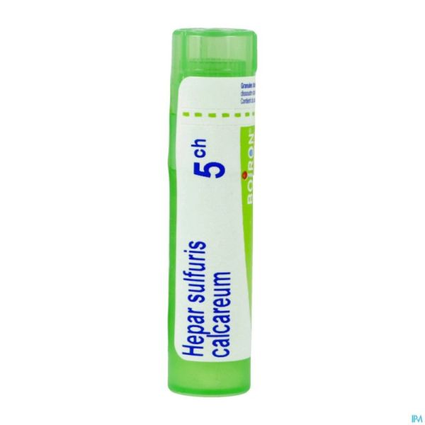 Hepar Sulfuris Calcareum 5ch Gr 4g Boiron